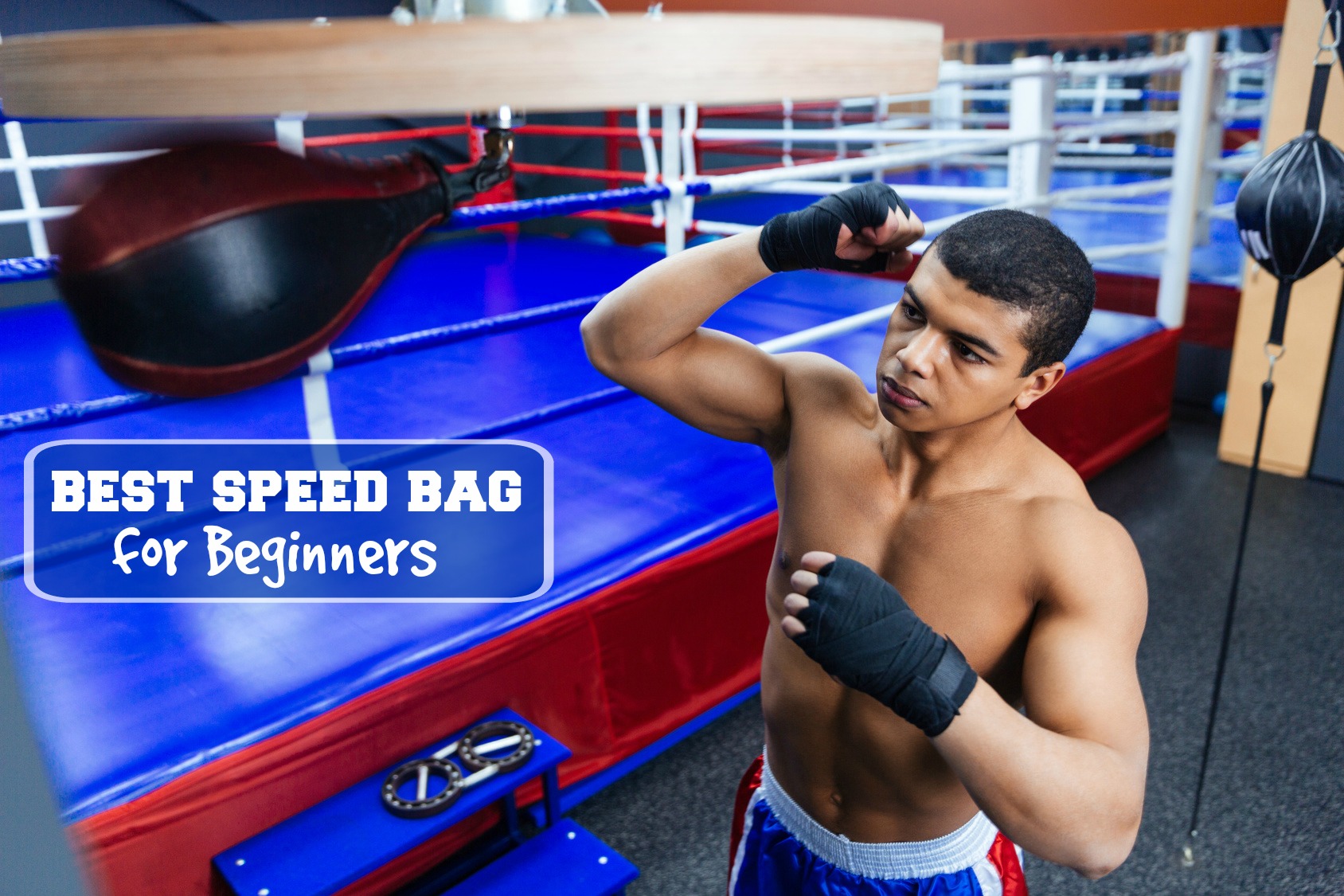Best Speed Bag for Beginners - Warrior Punch