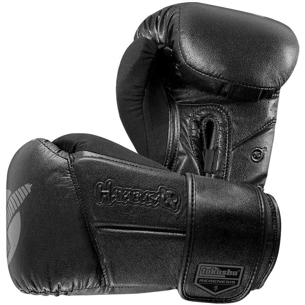 Hayabusa Boxing Gloves