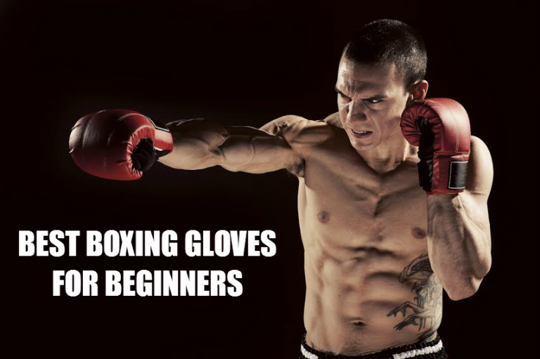 Best Boxing Gloves for Beginners Warrior Punch