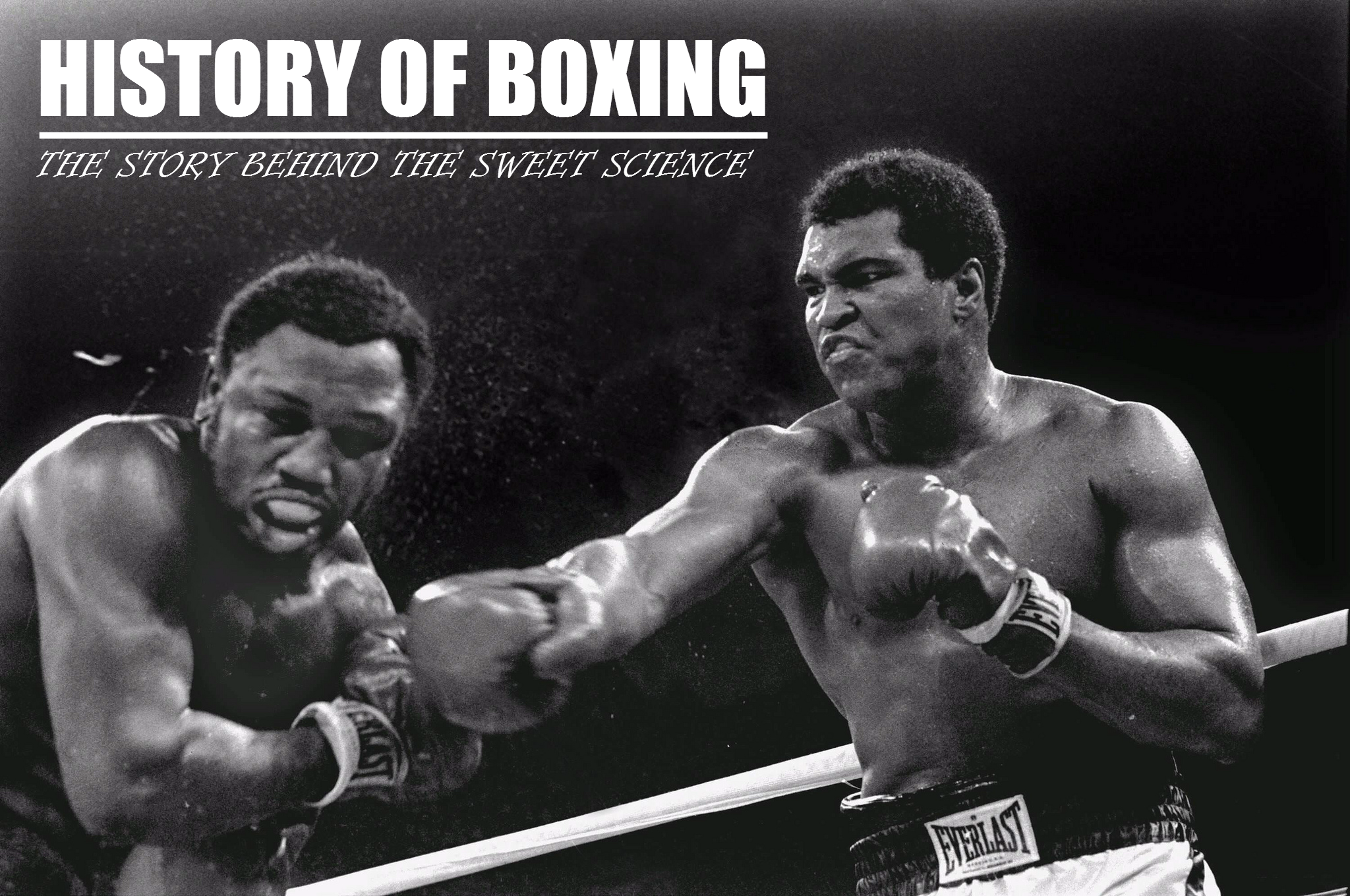 The History of Boxing