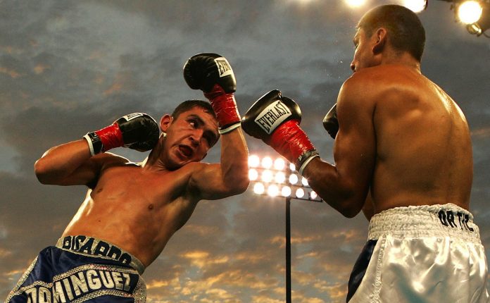 box-62867_1280 best uppercut bag reviews