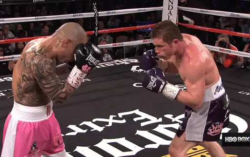 CANELO1
